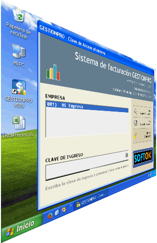 sistema de facturacion argentina